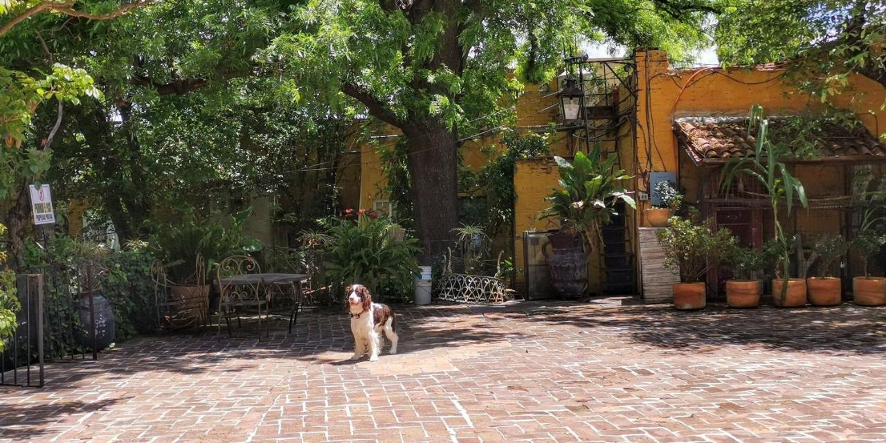 Hotel Sautto San Miguel de Allende Bagian luar foto